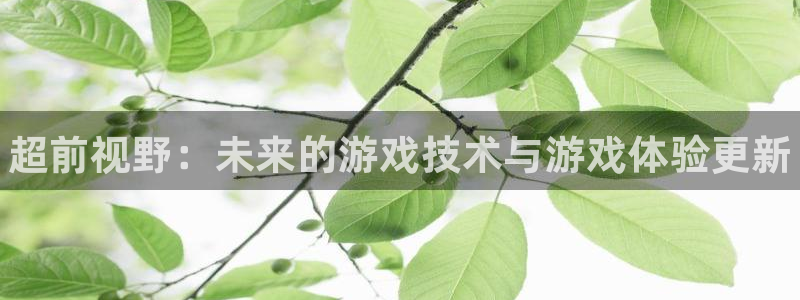 蓝冠娱乐登陆：超前视野：未来的游戏技术与游戏体验更新