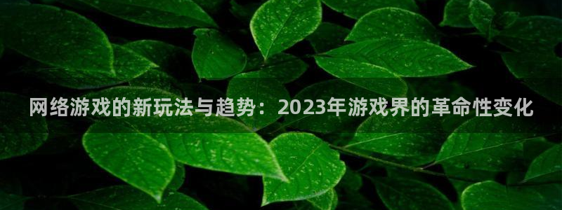 蓝冠娱乐平台登录入口：网络游戏的新玩法与趋势：2023年游戏