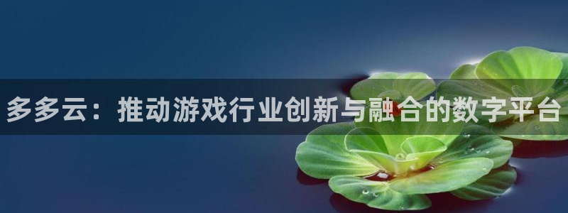 蓝冠娱乐登录地址：多多云：推动游戏行业创新与融合的数字平台