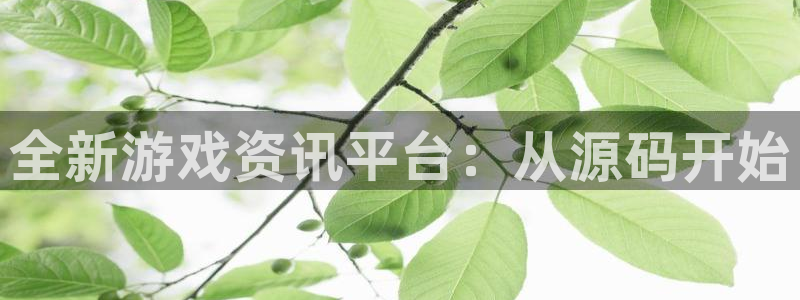 蓝冠娱乐手机网页版登录：全新游戏资讯平台：从源码开始