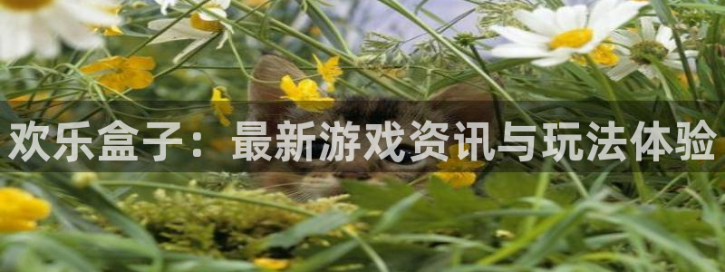 蓝冠娱乐app：欢乐盒子：最新游戏资讯与玩法体验