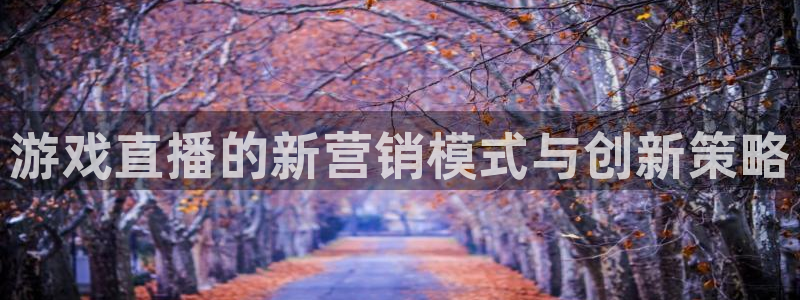 蓝冠娱乐咨询