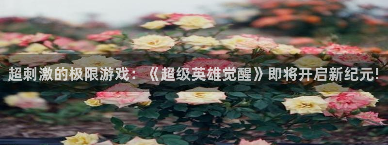 蓝冠娱乐平台官网入口