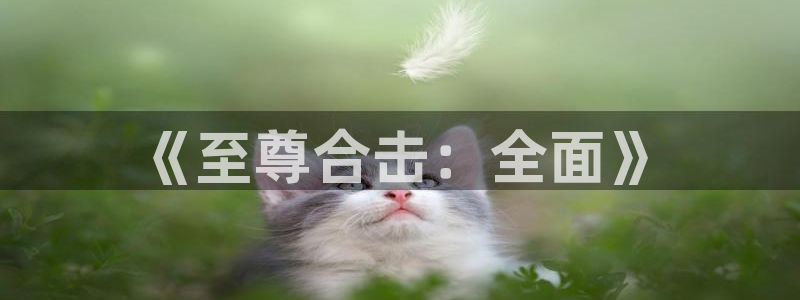 手机版蓝冠娱乐客户端下载：《至尊合击：全面》