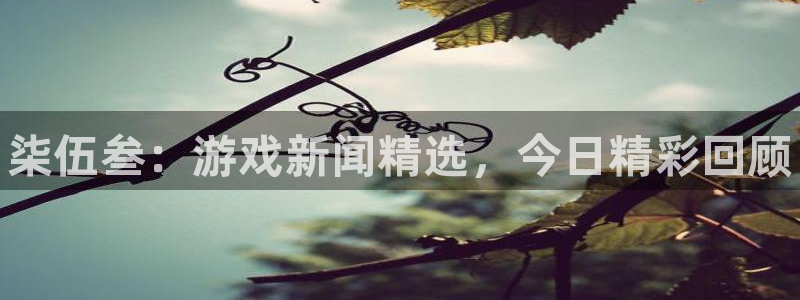 蓝冠娱乐平台官网入口：柒伍叁：游戏新闻精选，今日精彩回顾