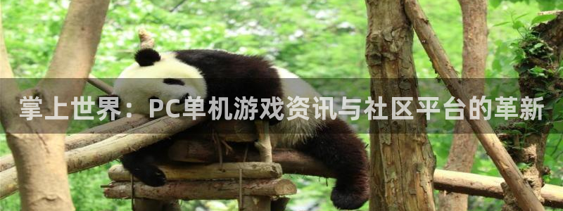 蓝冠娱乐是什么：掌上世界：PC单机游戏资讯与社区平台的革新