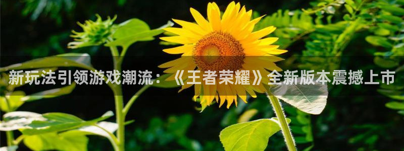 蓝冠娱乐集团：新玩法引领游戏潮流：《王者荣耀》全新版本震撼上