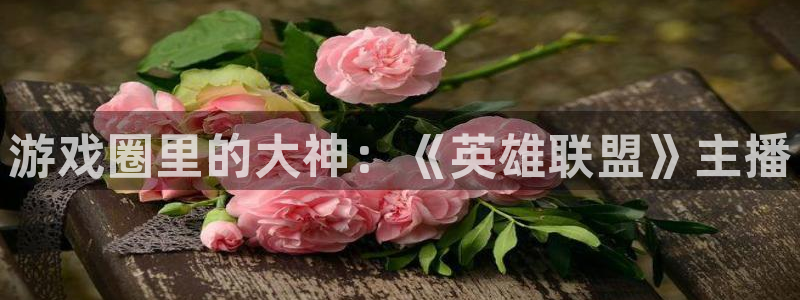 蓝冠娱乐4主管：游戏圈里的大神：《英雄联盟》主播