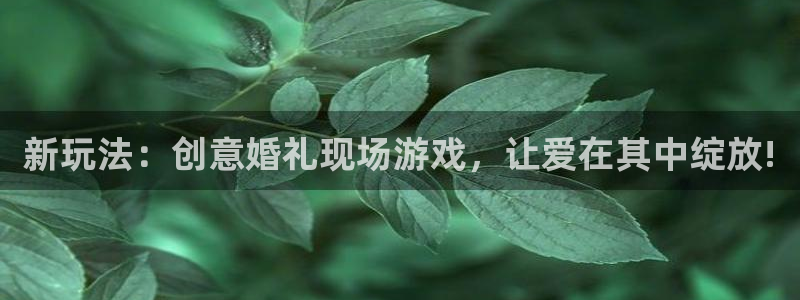 蓝冠娱乐平台登录：新玩法：创意婚礼现场游戏，让爱在其中绽放!